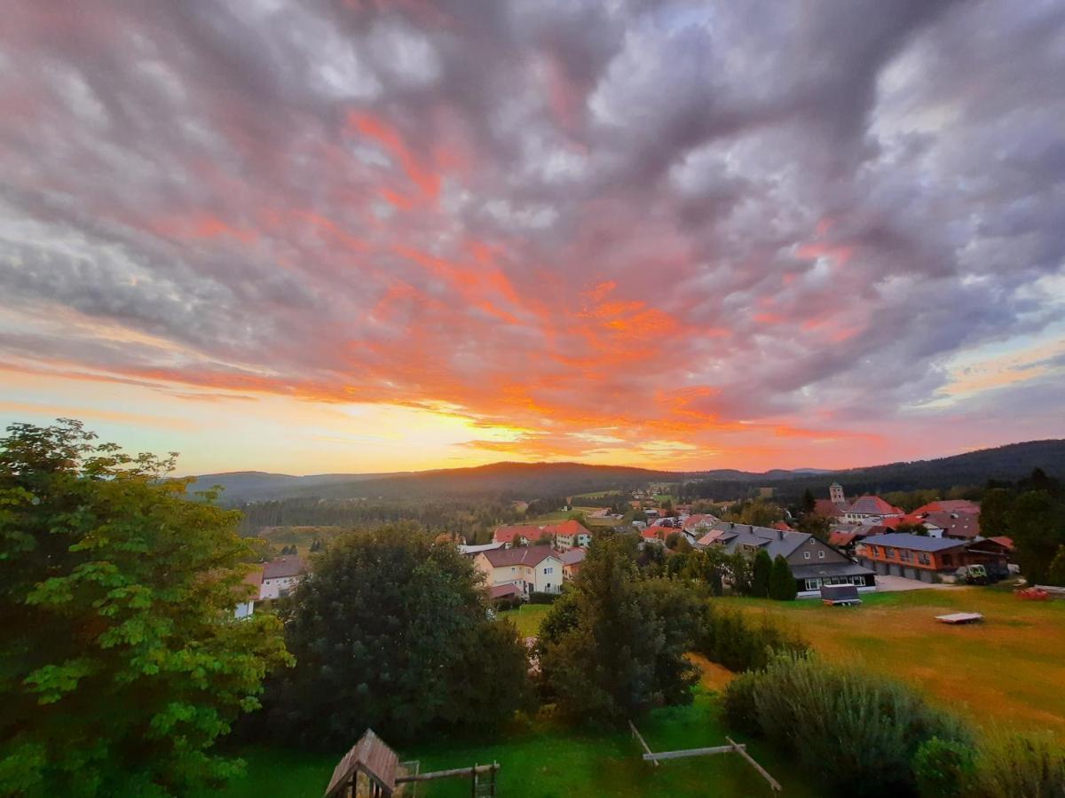 Appartement 13 Im Haus Dreisessel ハイトミューレ エクステリア 写真